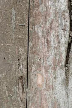 A Detailed High-Resolution Texture of Aged and Weathered Wood Planks Stock Photos