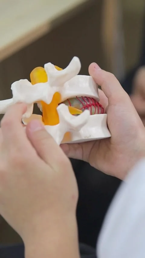A detailed Human Spine Model designed specifically for indepth Anatomy Education Vídeo Stock 304939389