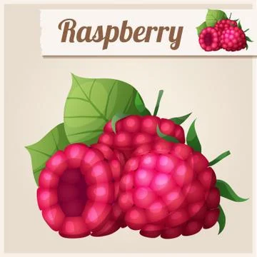 Detailed Icon. Raspberry. Stock Illustration