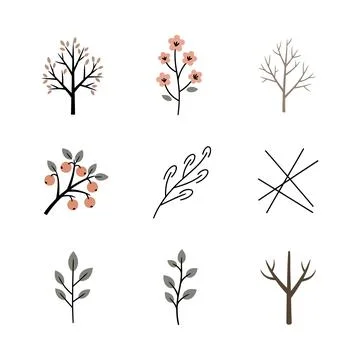 Detailed illustrations of trees and branches in various seasons Stock Illustration