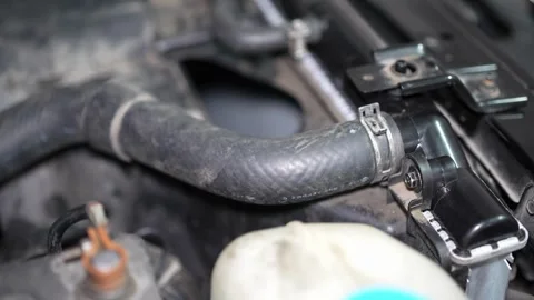 Detailed Inspection of Engine Coolant Hose During Auto Maintenance in Workshop Vidéo 346338525
