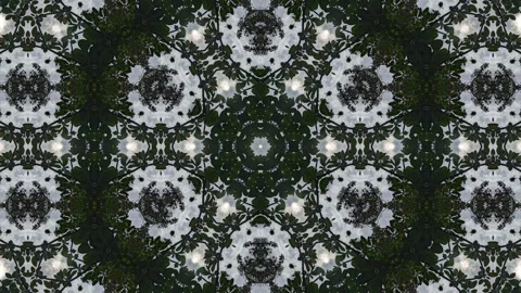 A detailed kaleidoscopic pattern created from leaves Stock Footage 304895152