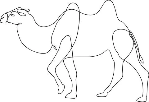 A detailed line drawing of a camel showcasing its unique structure and post.. Stock Illustration