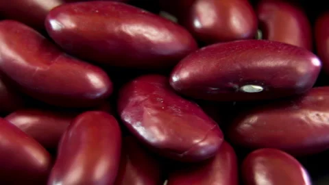 Detailed macro of red kidney bean hilum anatomy Phaseolus vulgaris Stock Footage 338127107