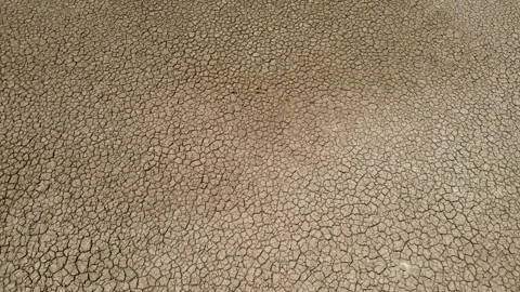 Detailed Macro View of Dehydrated Soil Pattern During Severe Heatwave. Stockbeeldmateriaal 333299747
