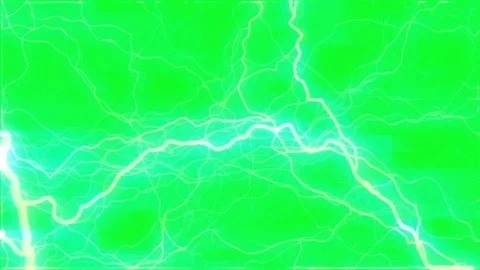 Detailed macro view of green leaf veins and insect Vídeo Stock 331768084