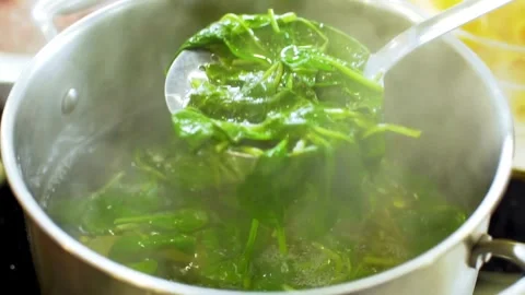 Detailed macro view of green leaf veins and insect Vídeo Stock 333872787