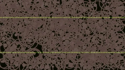 Detailed macro view of intricate organic lace-like natural patterns Stock Footage 339786366