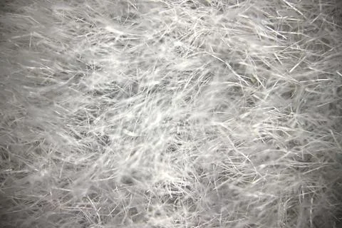 Detailed Microscopic View of Fabric Under a Microscope Stock Photos