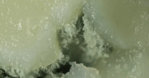 Detailed Microstructure of Blue Cheese Mold Vidéo 293080802