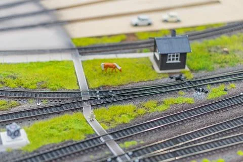 Detailed model train layout with multiple tracks, switch points, and a quaint Stock Photos