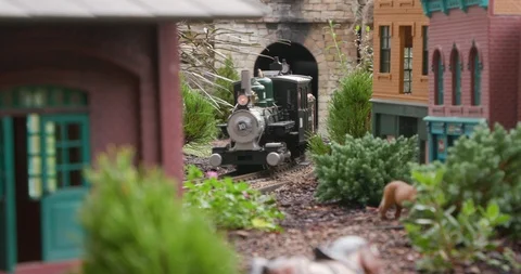 Detailed Model Train Set Leaving Tunnel Vidéo 99463116