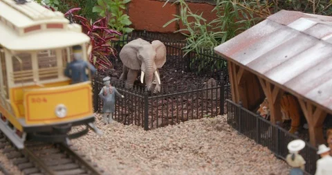 Detailed Model Train Set with Zoo Animals - Elephant, Tiger Stock Footage 99462621