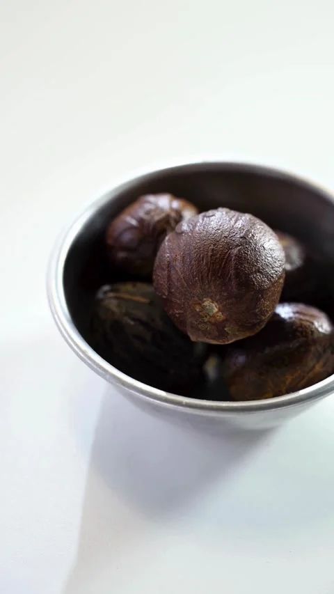 Detailed Nutmeg Model Shown For Educational Purpose Video 스톡 동영상 331763947