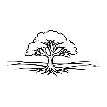 Detailed oak tree vector illustration with exposed roots and ground line art Stock Illustration