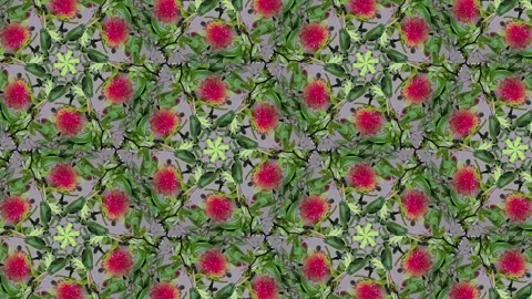 A detailed pattern of rambutans, showcasing the vibrant red color and hairy.. Stock Footage 305218455