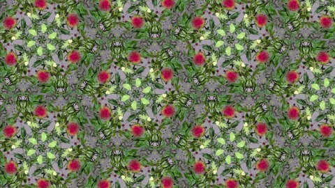 A detailed pattern of rambutans, showcasing the vibrant red color and hairy.. Stock Footage 305218596