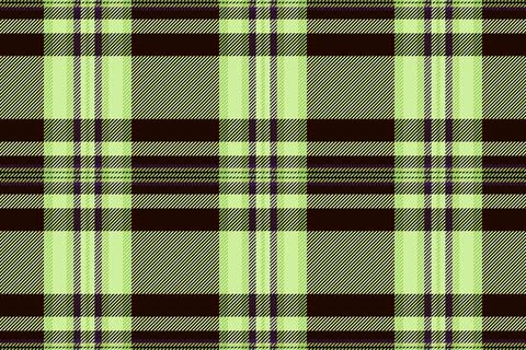 Detailed plaid pattern with intersecting lines creating a classic design. I.. Stock Illustration