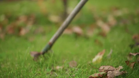 Detailed rake image. Photograph capturing essence of fall yard work. Detailed Stock Footage 346384560