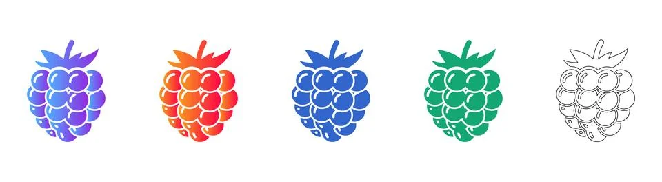 Detailed Raspberry Fruit Icon Set Stock Illustration