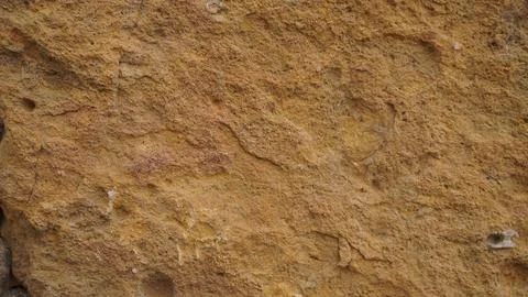 Detailed Rough Stone Surface Texture Natural Background for Design Fotos de archivo