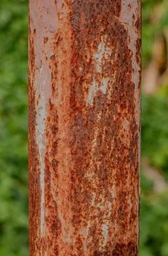 Detailed rustic iron profile 스톡 사진