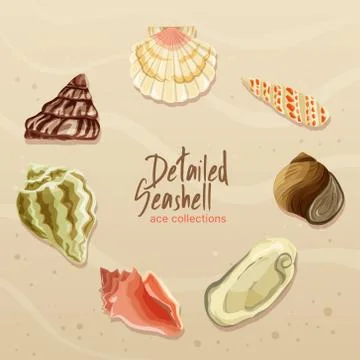 Detailed Seashell Collection Stock Illustration