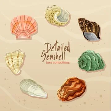 Detailed Seashell Collection Stock Illustration