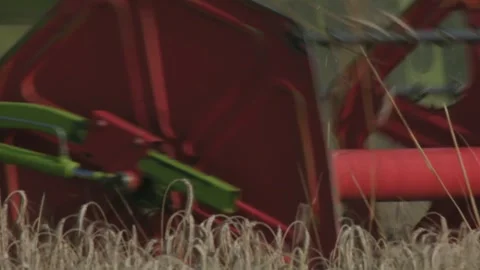 Detailed shot of a combine’s cutting header mowing cereal crops during harvest s Stock-Footage 331503735