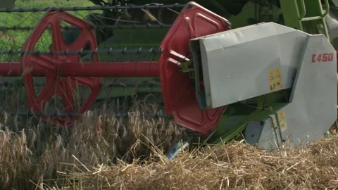 Detailed shot of a combine’s cutting header mowing cereal crops during harvest s 스톡 동영상 331503754