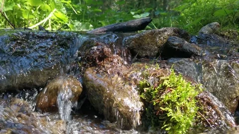 Detailed shot of a stream in the forest or on a meadow with moss and rocks t Stock Footage 246680905