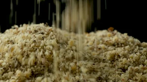 Detailed slow motion of ground walnut kernels pour on black background Stock Footage 327149265