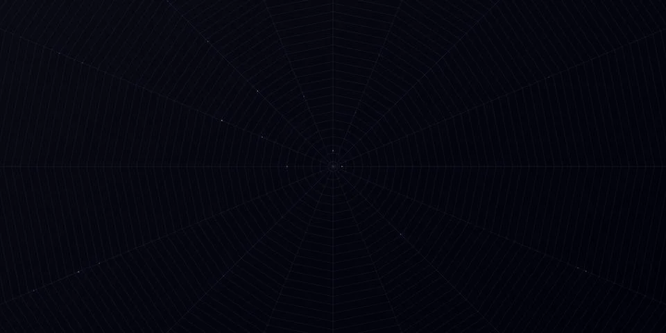 Detailed spider web pattern on a dark background Stock Illustration