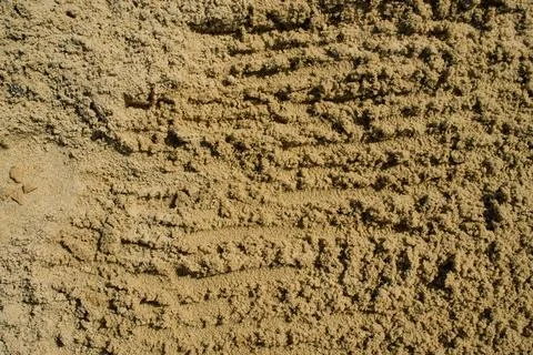 Detailed texture analysis sample showing damp compact sand with vertical ripp Stock Photos