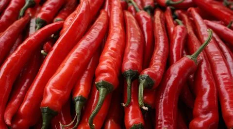 Detailed texture and pattern red hot chili pepper background. Stock Photos