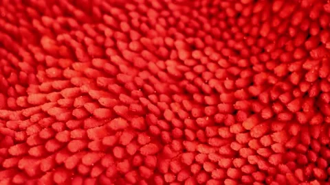 Detailed Texture of Soft Fleecy Red Scarlet Fabric Textile Bathroom Rug Toilet,  Stock Footage 169225023