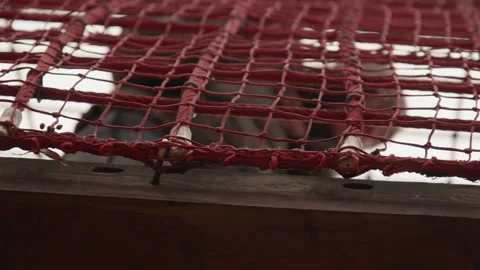 Detailed texture study. Closeup of weathered wooden net. Red net with frayed Stock Footage 346232160
