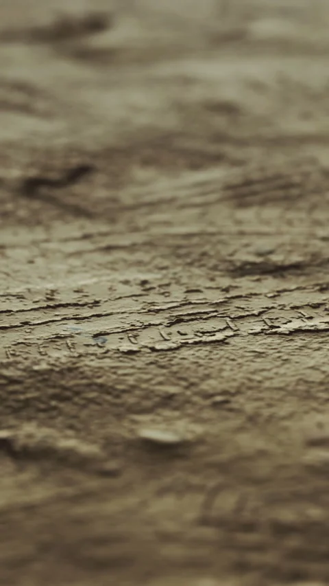 Detailed textured surface showcasing natural patterns in earthy tones Stock Footage 308954992