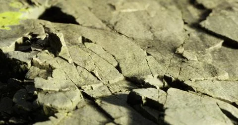 Detailed textures of cracked stone surface in natural lighting Stock Illustration
