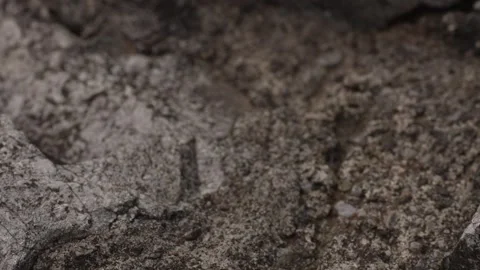 Detailed textures of rocky ground. Stock Footage 288255234