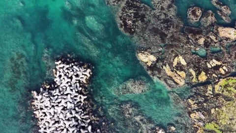 Detailed Top Down Aerial View of Clear Turquoise Sea and Coastal Reef Stock Footage 344778520