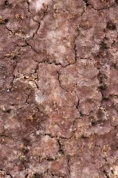 A Detailed Top-Down View of Severely Cracked and Dehydrated Stock Photos