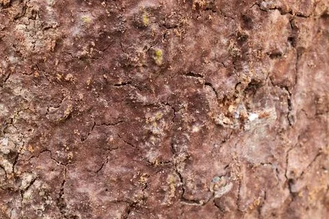 A Detailed Top-Down View of Severely Cracked Stock Photos