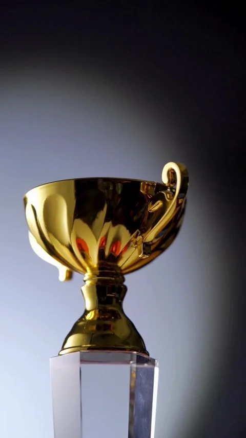 Detailed Trophy Model Shown For Educational Purpose Video Video stock 331764643