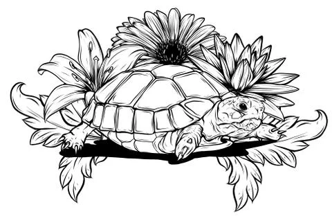 Detailed vector illustration of a generic tortoise land turtle in subtle greens. Stock Illustration