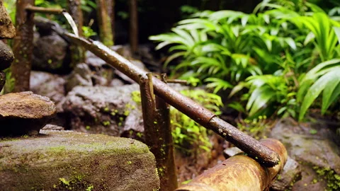 Detailed View of Bamboo Water Clapper Surrounded by Tropical Vegetation and Flow Video stock 336693037