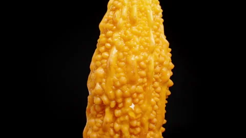 Detailed View of the Bitter Melon's Bumpy Surface, Rotating to Reveal Intricate Stock Footage 284319808
