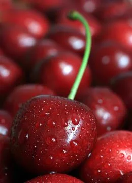 Detailed view of the cherry Stock Photos