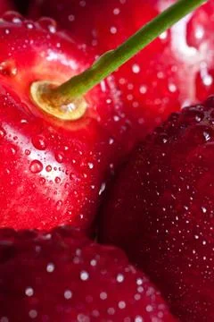 Detailed view of the cherry Stock Photos
