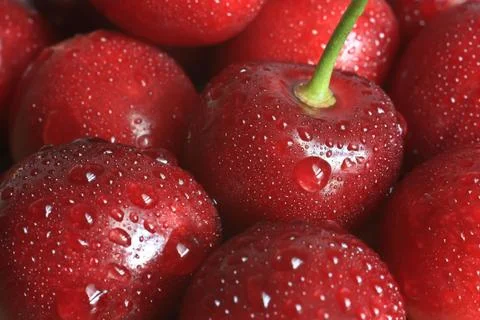 Detailed view of the cherry Stock Photos